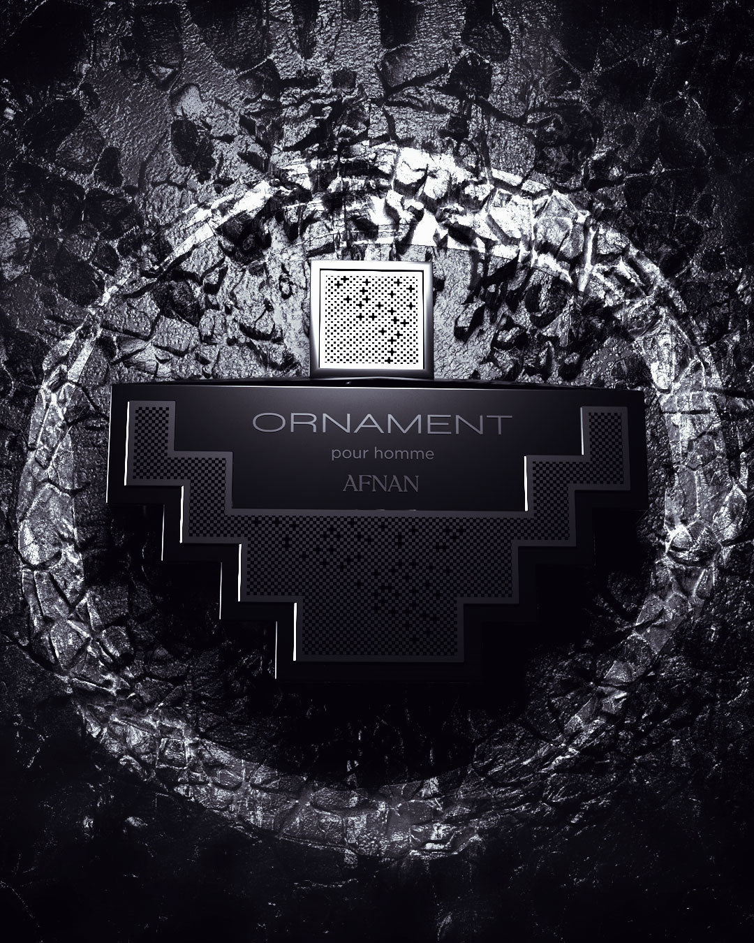 ORNAMENT POUR HOMME - Image 4