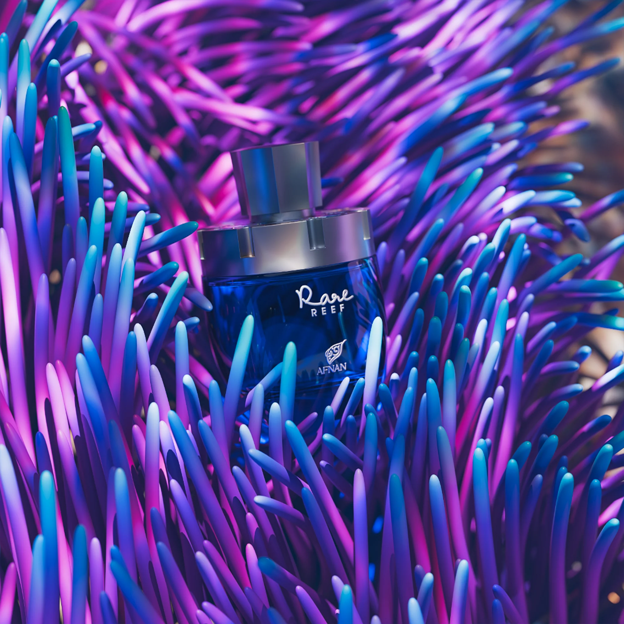 Rare Reef - Image 6